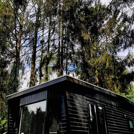 Heerlijk Chalet Midden In De Natuur Putten Exterior foto